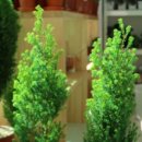 두봉농장 이미지