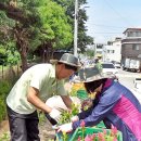 조촌동-02(조촌동주민센터) 이미지