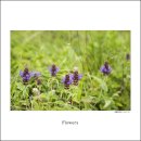 사진전시 이미지