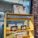 위미문화의 집 | 제주 서귀포카페 서연의집 건축학개론 영화 촬영지 내돈내산 후기