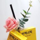 몽땅풀