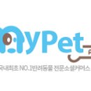 펫플러스 네이버블로그