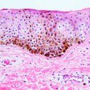 서울뷰의원 당진 이미지