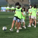 오아시스토토