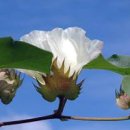 겸면사무소 이미지