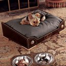 멋진강아지 이미지