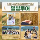 '밀심'과 함께한 농촌체험 오감 만족 '구미 밀밭 투어' 둘째 날 생생 후기 🌾