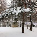 강서회관 이미지