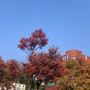 나들지기 | [전주] '전주생활관광 기록투어 당신만의 전주' 후기 1