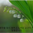 케르