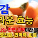 단감 이미지