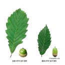 상수도유원지 네이버블로그