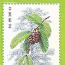 (주)큰나무 이미지