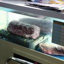 유현목장 이미지