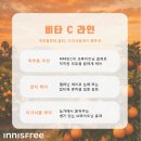 푸바오 탈출하게 된 후기 | 이니스프리 브라이트닝 아이세럼 리뷰