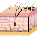 (주)필메드 | 서면리쥬란힐러, 자주 물어보는 질문 알아볼까요?