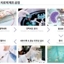 노보셀바이오