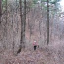 일봉목장 이미지