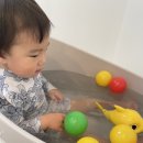 (주)지피코