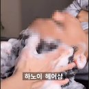 남녀커트염색