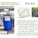 식물의 양분을 흡수 방법. 발효를 통한 수용성 이온화 이미지