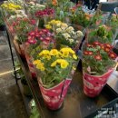 커피랩 지앤지점 이미지