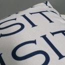 아크릴로 만나는 세계 | 트윌원단 vs 캔버스, 우리 브랜드 굿즈에 딱 맞는 쿠션 제작 사양은? (소파쿠션제작 후기)