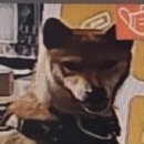 카메라사람
