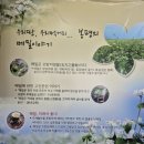 하슬라로 | 강릉_교동 맛집 함흥냉면 이가네면옥 내 돈 내산 솔질 후기