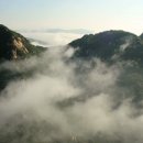 스카이 블루버드