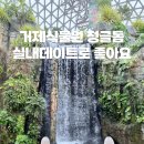 거제 실내 가볼만한곳 추천 거제식물원 정글돔 입장료 할인 후기