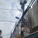 고고스빨간오뎅