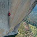 프리솔로 암벽등반_알렉스 호놀드(Alex Honnold) 이미지