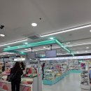 농협 하나로클럽 양재점 | 원주대형다이소 새로 생긴 다이소 원주원예하나로클럽접 직접 가본 솔직 후기