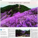 창원 천주산 “나의 살던 고향은 꽃피는 산골… ” 노래가 된 풍경 이미지