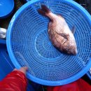 여수상회 이미지