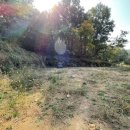 박영태농장 이미지