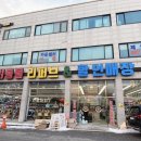 이츠펫 두정점 네이버블로그