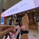 [서울/박람회] 서울커피엑스포 2025 COFFEE EXPO SEOUL 후기 ☕️