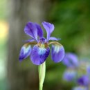 동산농장 이미지