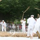 타맥 이미지