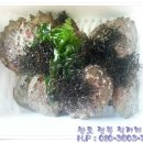 바다향 참전복 이미지