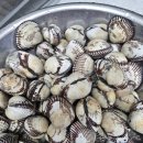 과일맛있고싼집 - 광산구 풍영로145번길 106 | 과일맛있고싼집