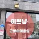 이쁘냥 고양이미용실 대전점 이미지