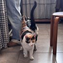 더하우스113(The house 113) 이미지