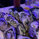 싱싱오징어바다 이미지