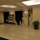 강남-115 이미지