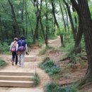 월계공원묘지 이미지