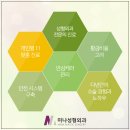 미나성형외과
