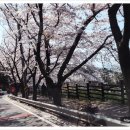 예동농장 이미지